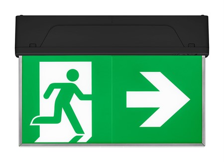EM R2A EXIT SIGN ST 231 30M-B